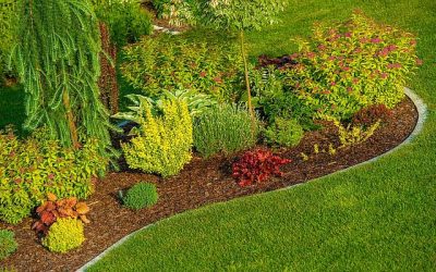 Want Your Yard as Beautiful as Your Remodeled Home