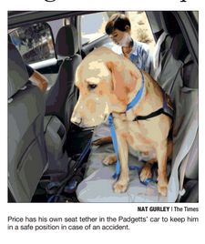 Price Dog